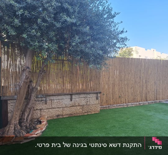 עץ גדול עם גזע עבה על דשא מלאכותי